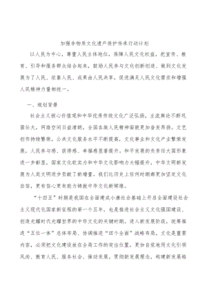 加强非物质文化遗产保护传承行动计划.docx