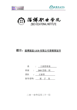 丽晶LED有限公司营销策划案.docx