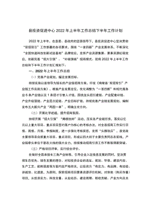 县投资促进中心2022年上半年工作总结下半年工作计划.docx