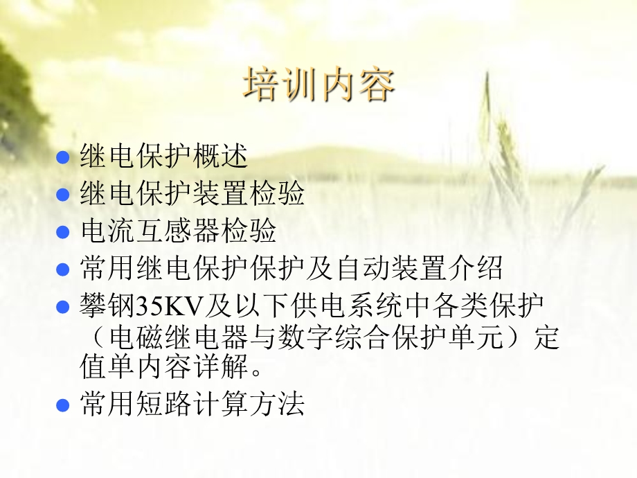 继电保护原理和应用培训ppt课件.ppt_第2页