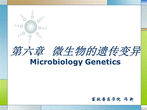 畜牧微生物学 第六章 微生物的遗传与变异课件.ppt