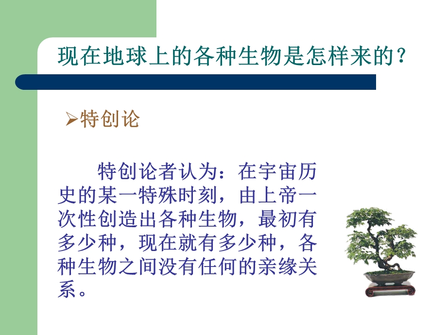 生物进化 课件.ppt_第2页