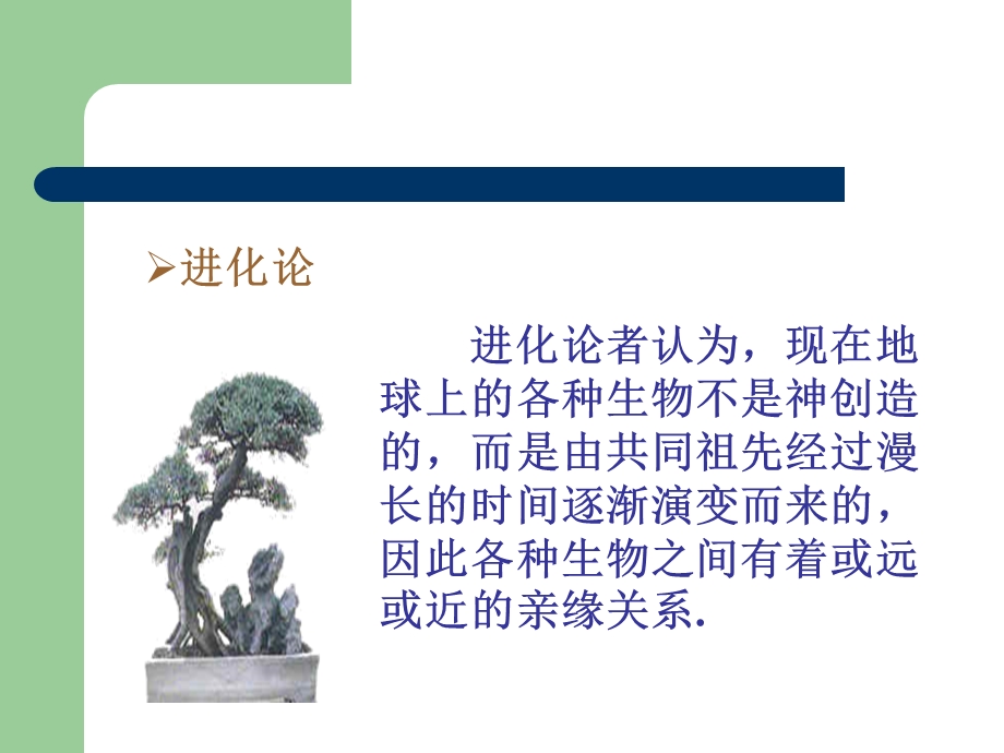 生物进化 课件.ppt_第3页