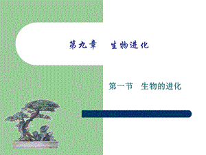 生物进化 课件.ppt