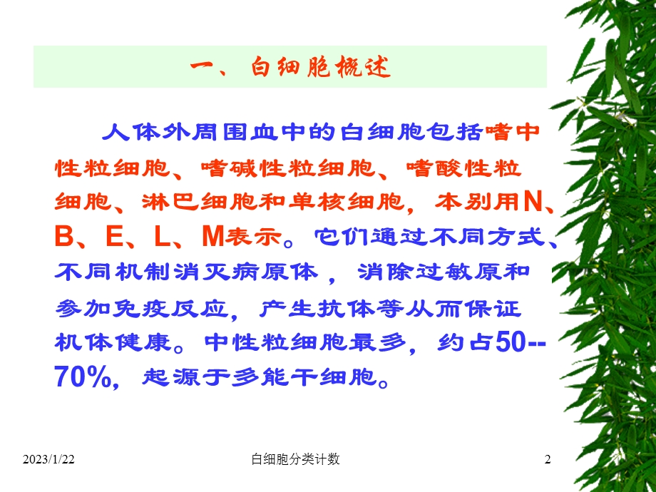 白细胞分类计数及临床意义课件.ppt_第2页