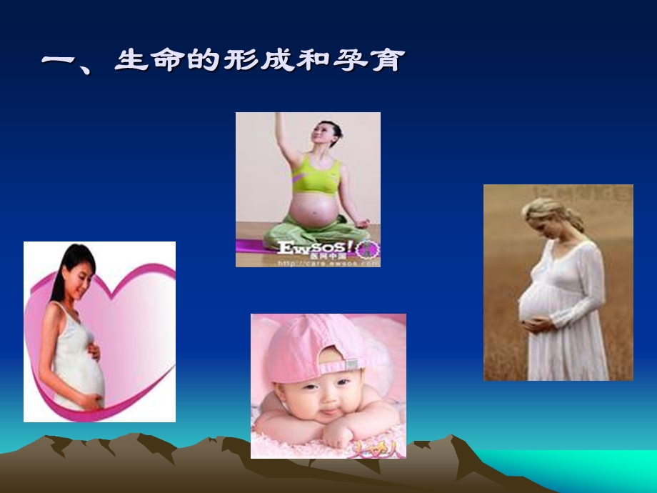 第四章胎儿期发展课件.ppt_第3页