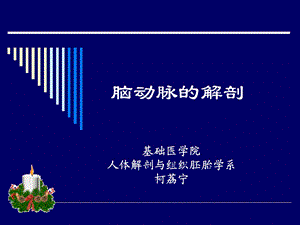 脑动脉解剖课件.ppt