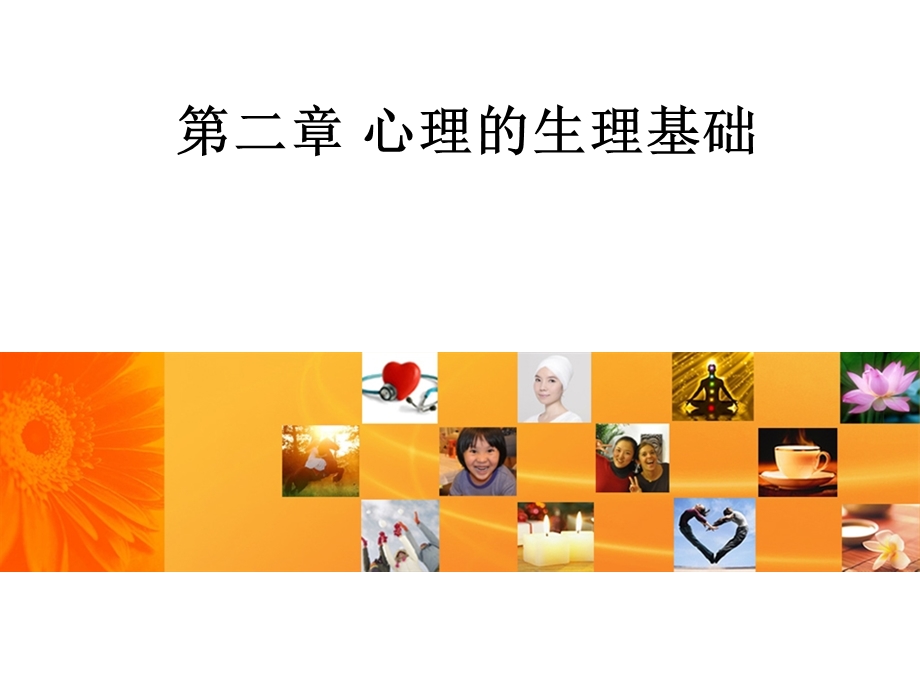 第二章 心理的生理基础课件.ppt_第1页