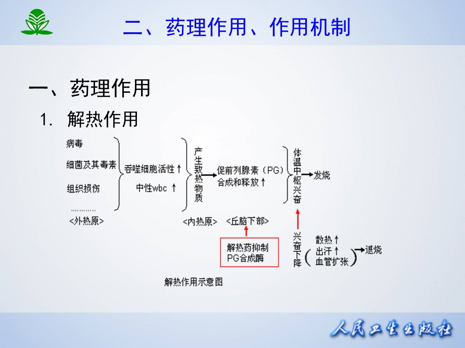 第二章解热镇痛抗炎药课件.ppt_第3页