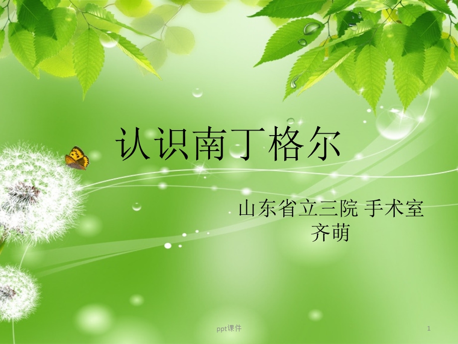 认识南丁格尔课件.ppt_第1页