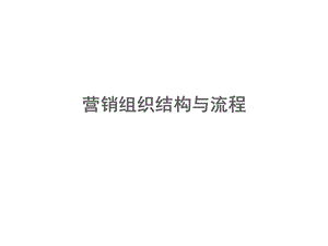 营销组织结构与流程课件.ppt