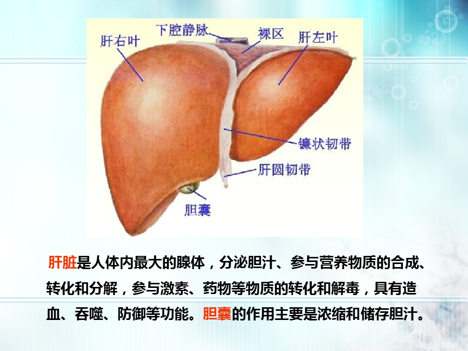 药物与家庭用药课件.ppt_第3页