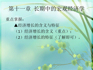 第11章长期中的宏观经济学课件.ppt