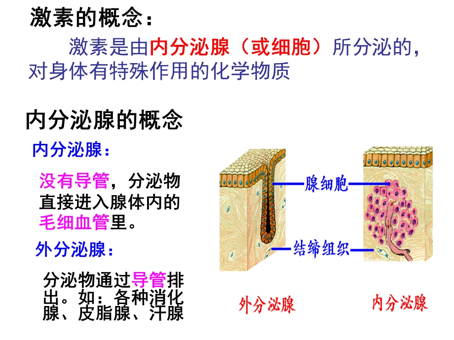 第三节高等动物的内分泌系统与体液调节2012课件.ppt_第3页