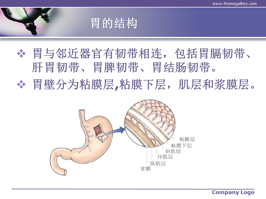 胃癌术后胃肠营养护理课件.ppt_第3页