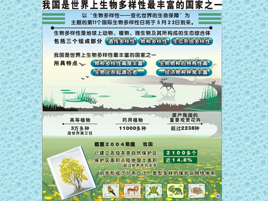 第四章 生物多样性保护课件.ppt_第3页