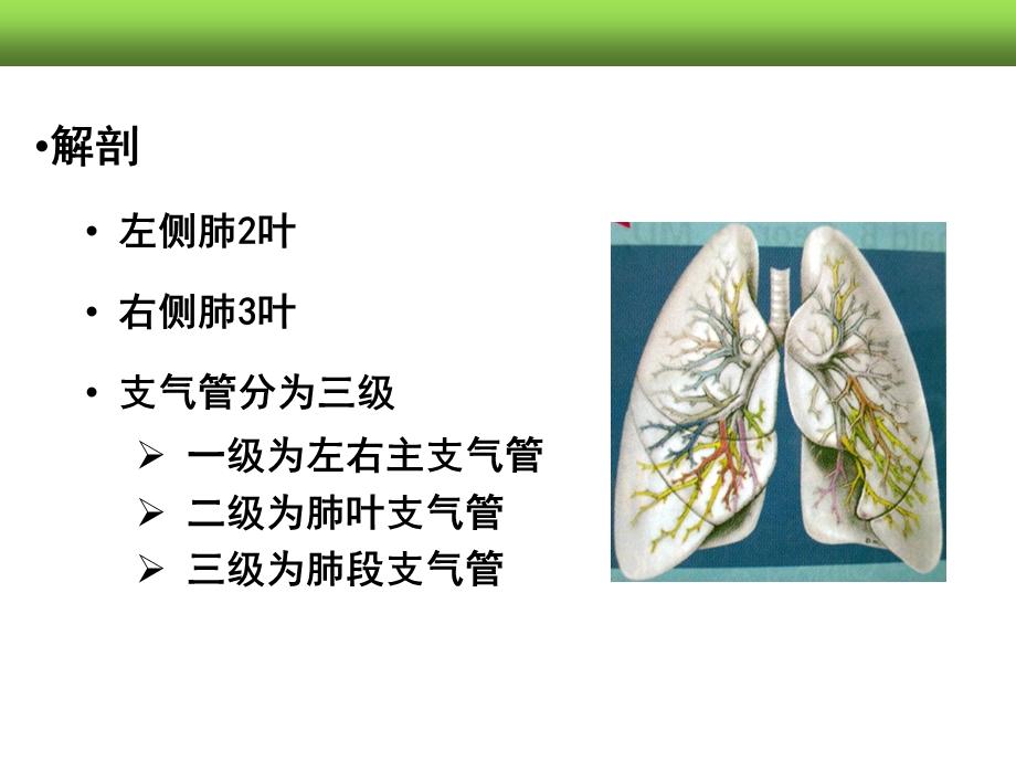 第十二章(4)——肺癌病人的护理课件.ppt_第3页