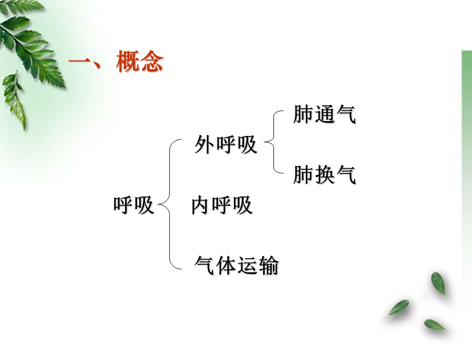 肺功能障碍课件.ppt_第2页