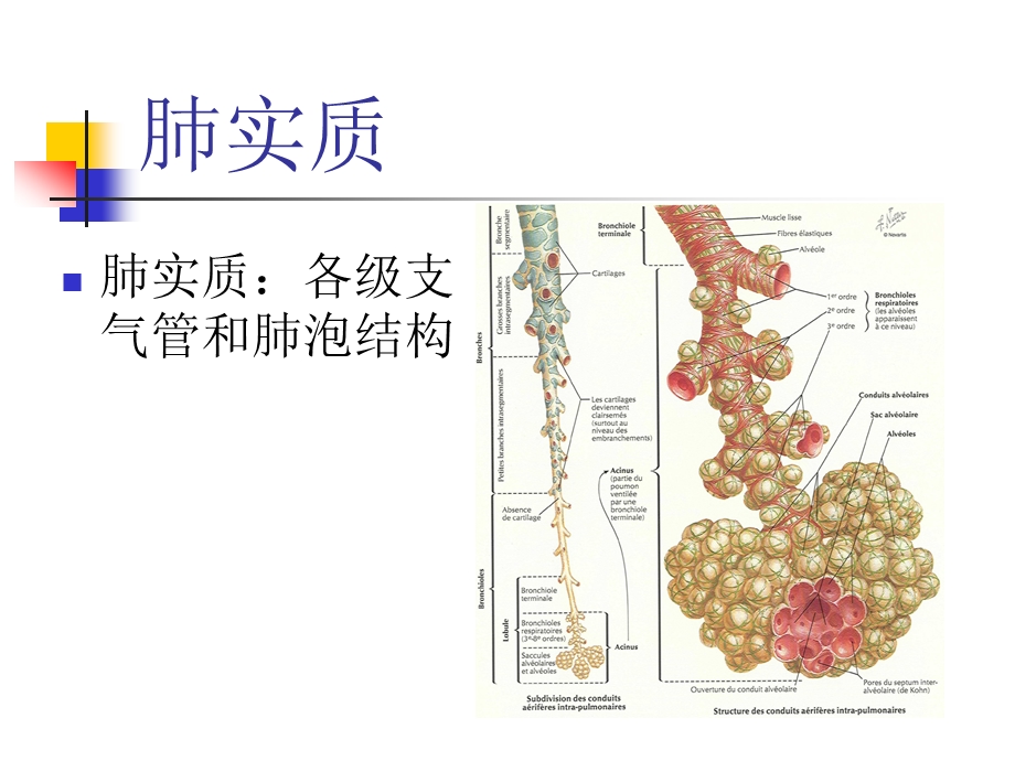 肺间质病诊治思路课件.ppt_第3页