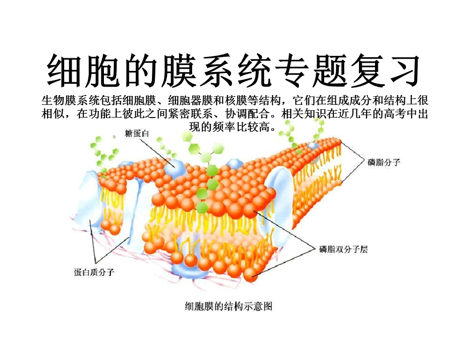 生物膜专题复习课件.ppt_第1页