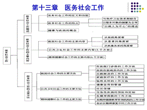 第十三章 医务社会工作课件.ppt