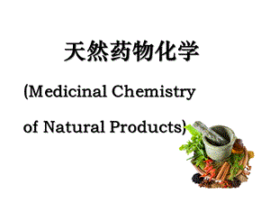 营销班 天然药物化学第一章课件.ppt