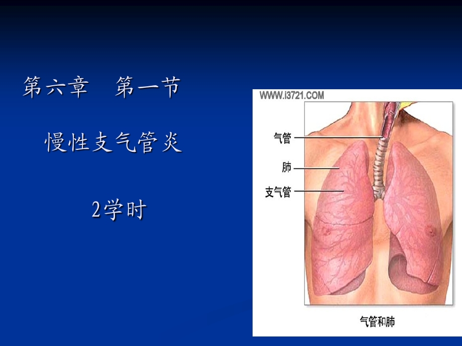 第六章 第一节 慢性支气管炎课件.ppt_第1页