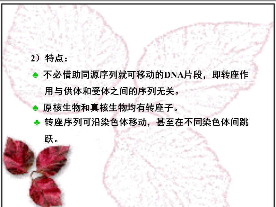 第二章DNA转座课件.ppt_第3页