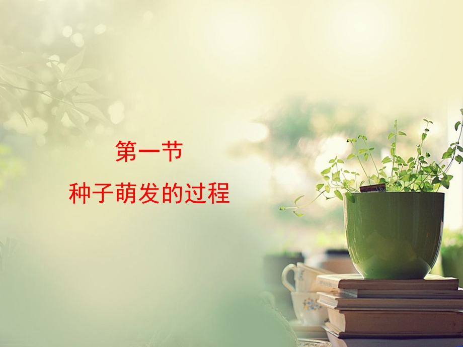 种子萌发的过程 课件.ppt_第1页