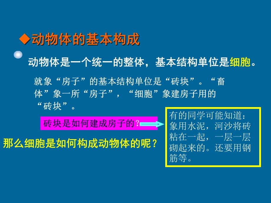 解剖学部分 畜体的组织结构系统课件.ppt_第2页