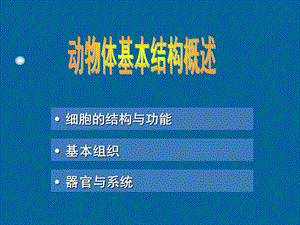 解剖学部分 畜体的组织结构系统课件.ppt