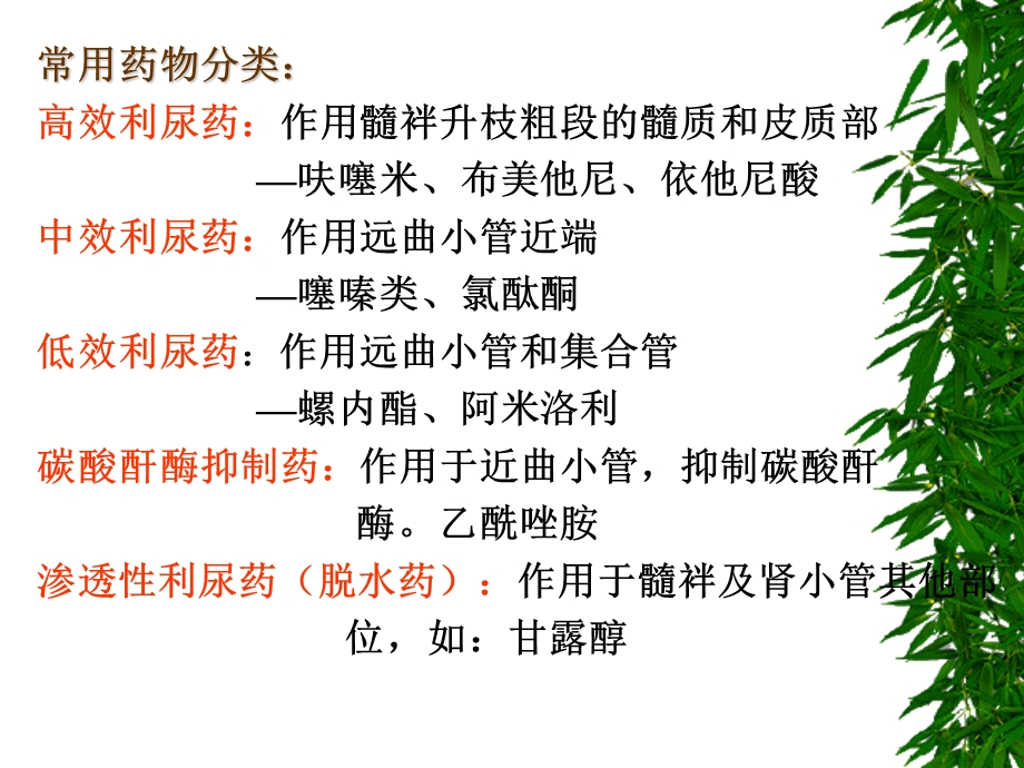 第24章利尿药及脱水药课件.ppt_第2页