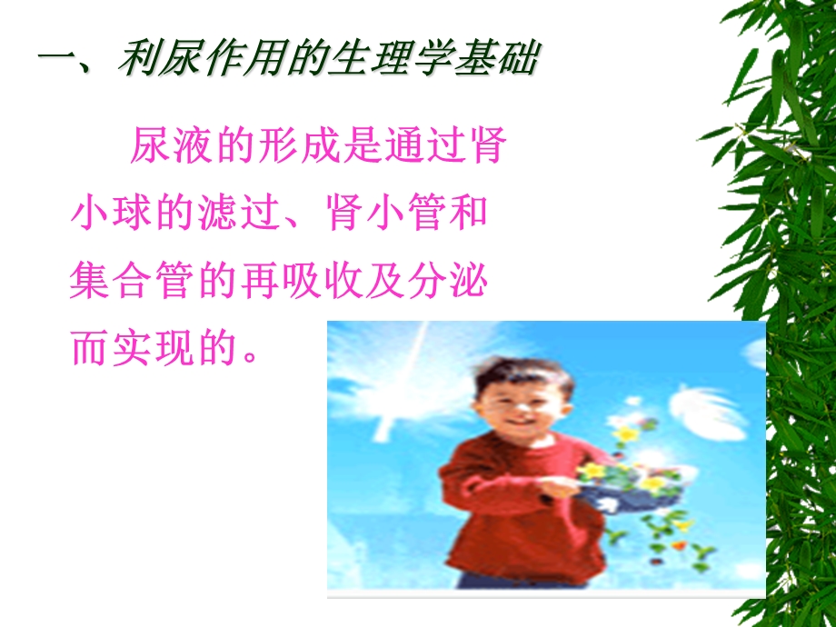 第24章利尿药及脱水药课件.ppt_第3页