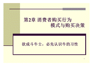 第2章消费者购买行为模式与购买决策解析课件.ppt