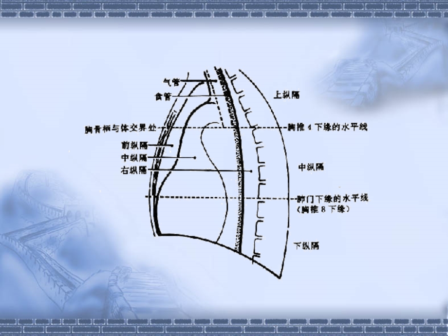 纵隔淋巴结CT片图解课件.ppt_第2页