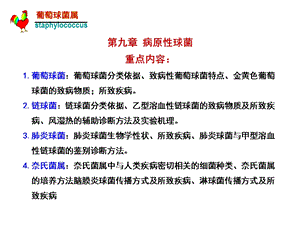 细菌学各论课件.ppt