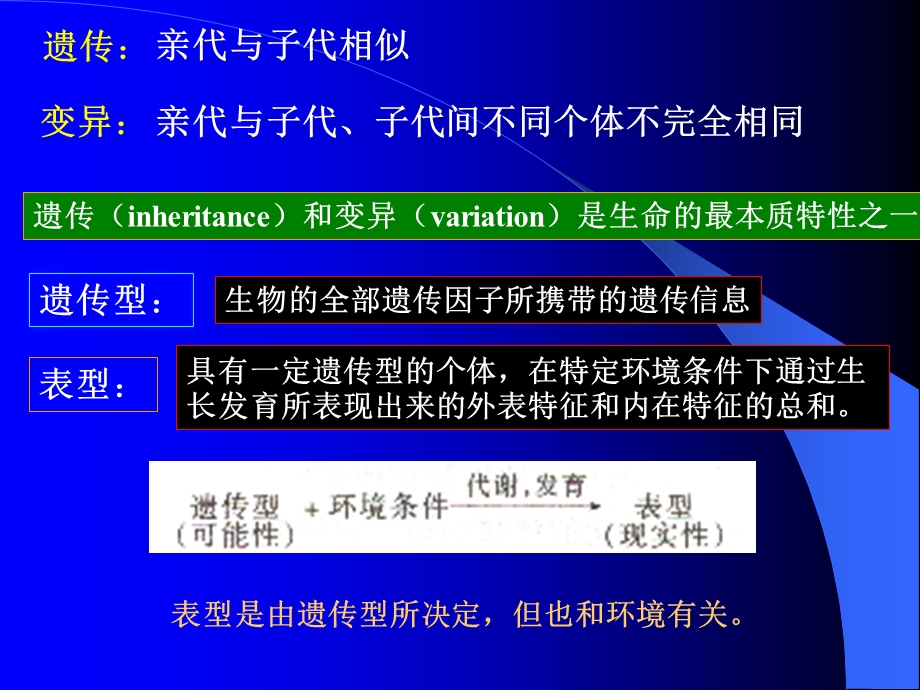 第七章 微生物遗传变异课件.ppt_第2页