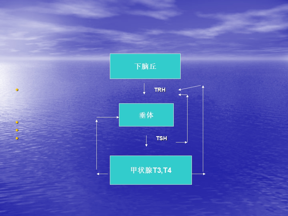 甲状腺功能测定临课件.ppt_第3页