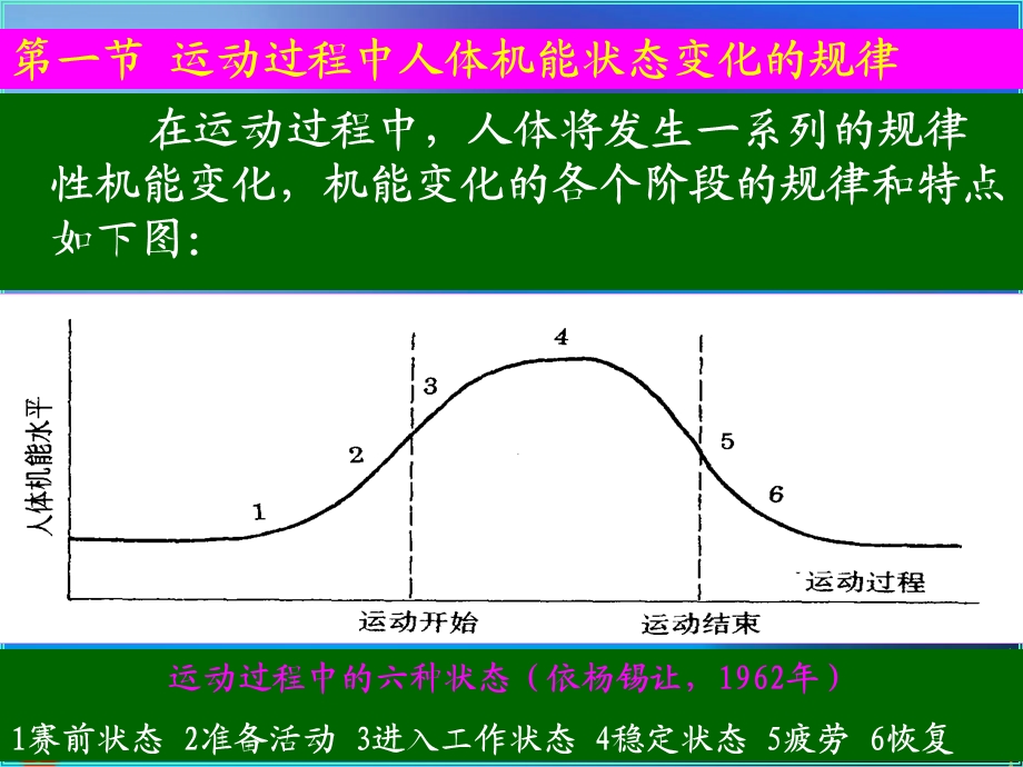 第十二章 运动过程中人体机能变化规律课件.ppt_第3页