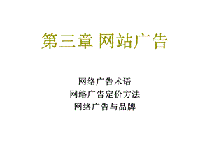 网站广告投放策划手册教材课件.ppt