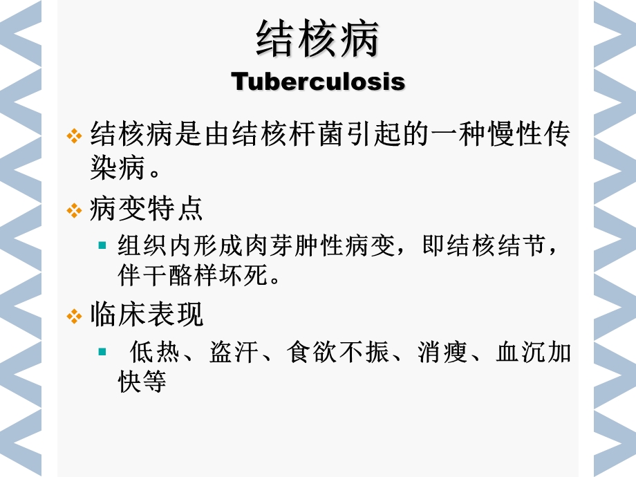 病理学传染s课件.ppt_第3页