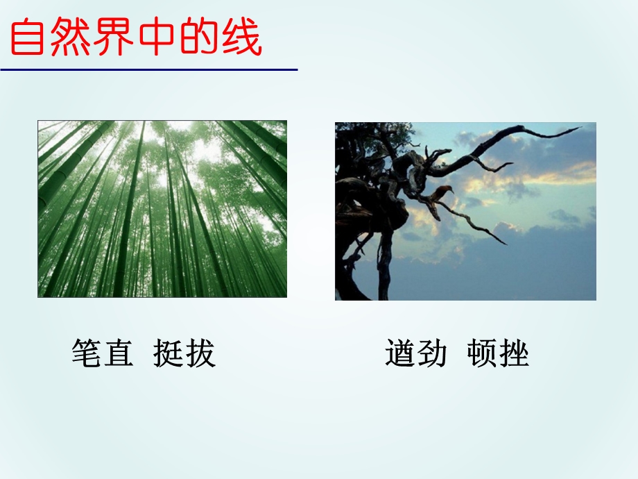 线条的表现力课件.ppt_第2页