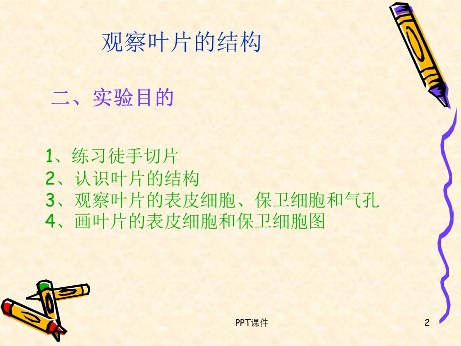 观察叶片的结构课件.ppt_第2页