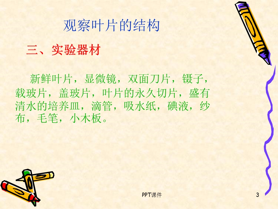 观察叶片的结构课件.ppt_第3页