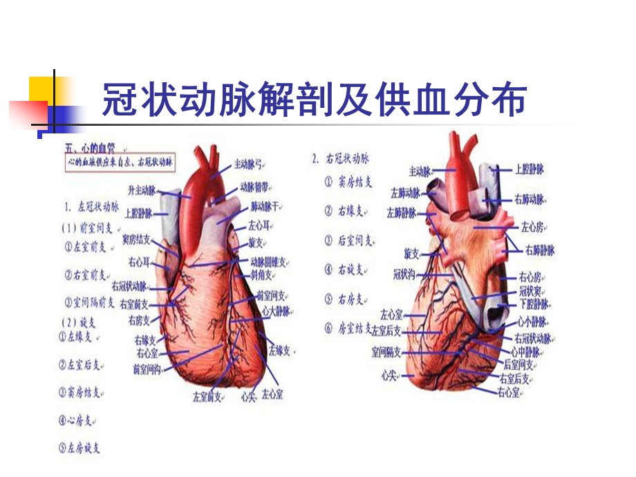 缺血性脏心病的超声诊断课件.ppt_第3页