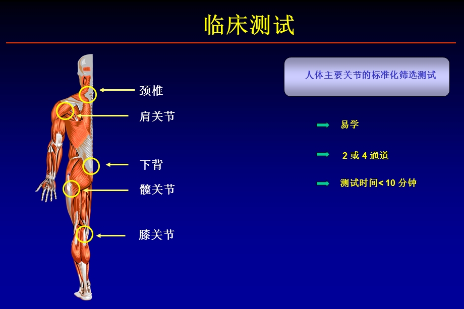 表面肌电临床应用课件.ppt_第1页