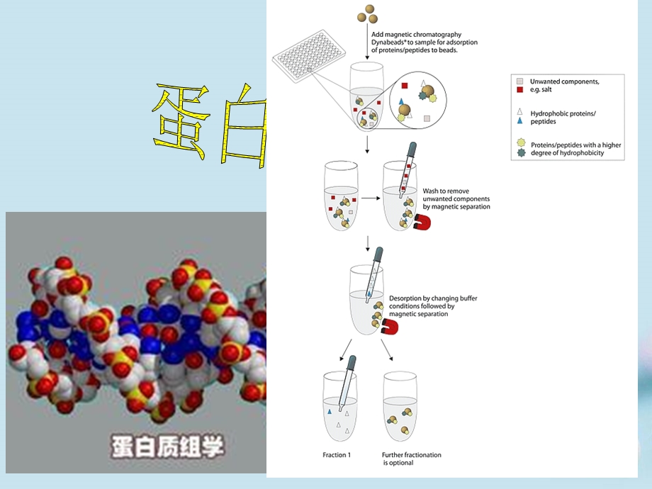 策略研究基础课件.ppt_第2页