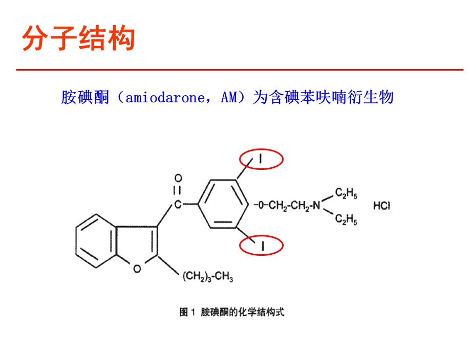 药品学习 胺碘酮的临床应用课件.ppt_第3页