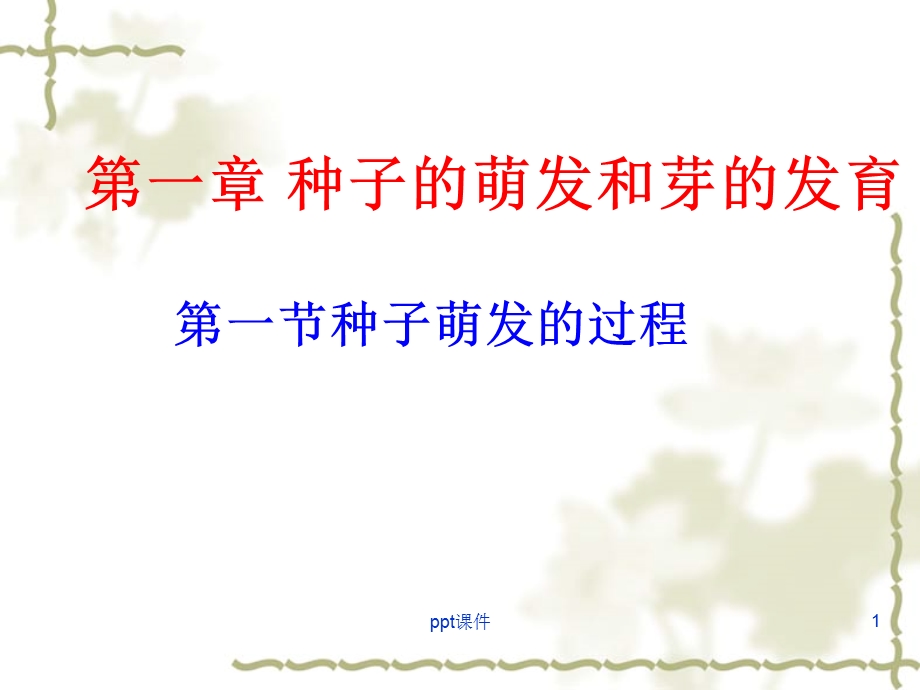 种子萌发的过程课件.ppt_第1页