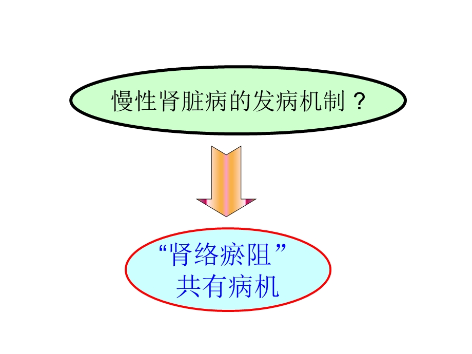 肾络瘀阻病机学说课件.ppt_第2页